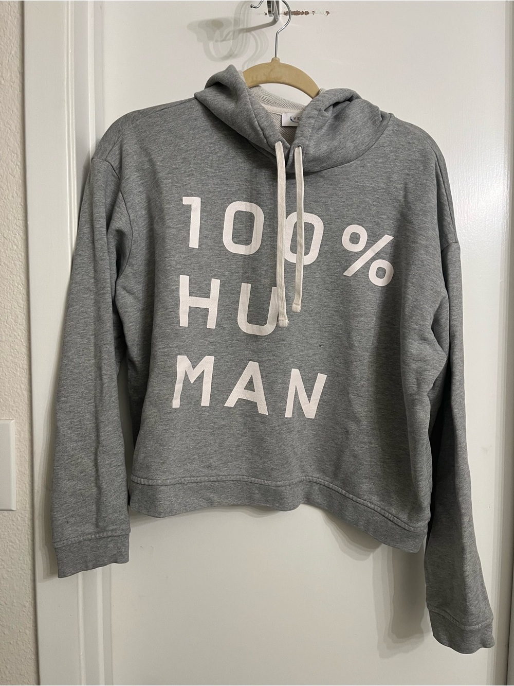Everlane Gray Hoodie Sweatshirt with 100% HUMAN Print